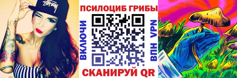 Галлюциногенные грибы Psilocybine cubensis  Тбилисская 
